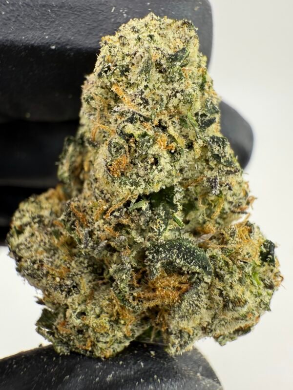 Snickerdoodle