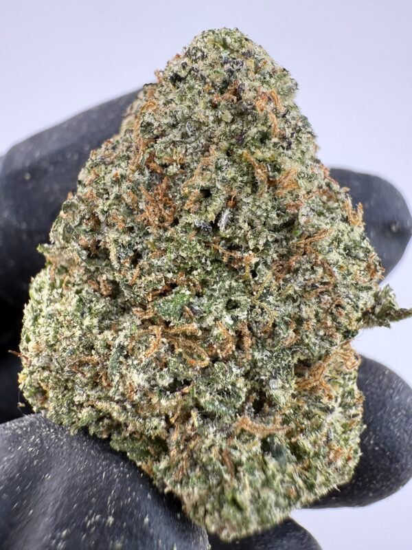 Cherry Koolaid