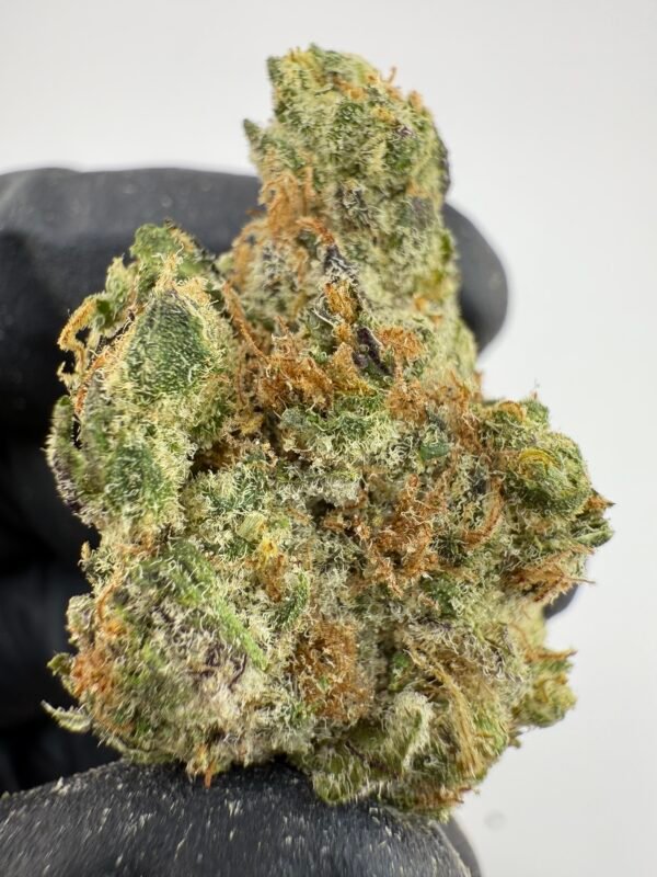Garlic Cookie