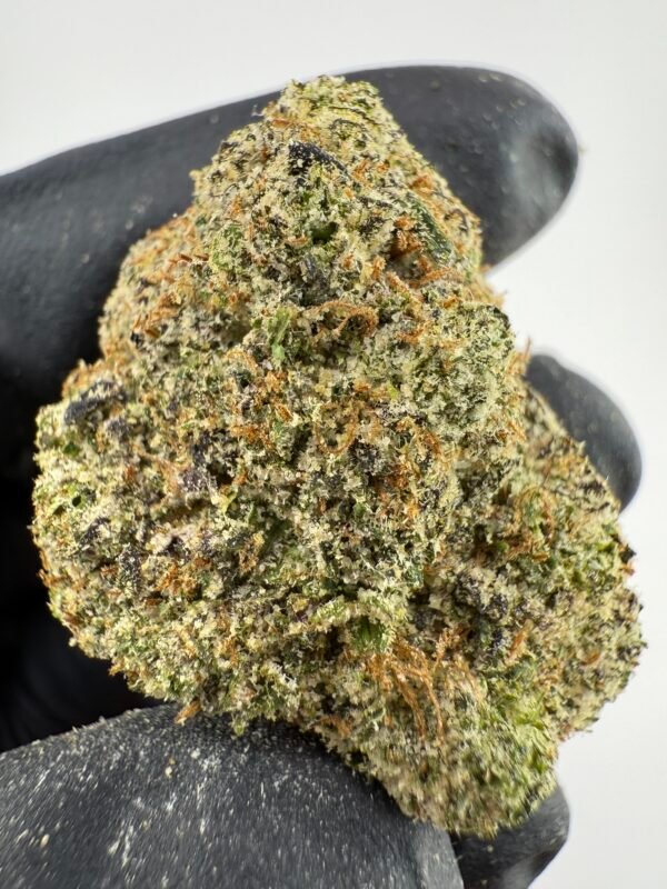 Sour Worms
