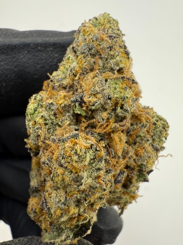 Creamsicle