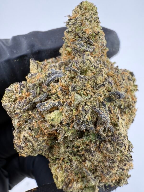 Blue Gotti