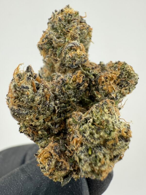 Jet Fuel