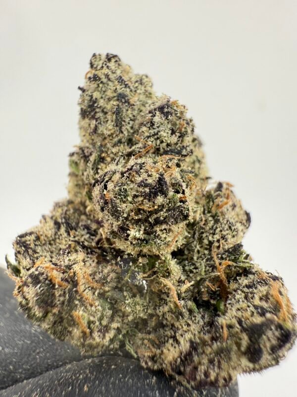 Mac Trufflez