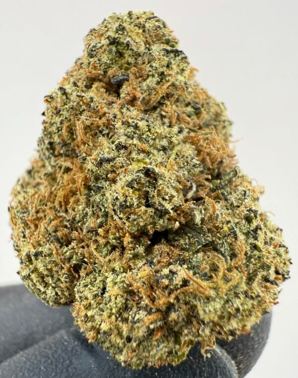 Mango Punch