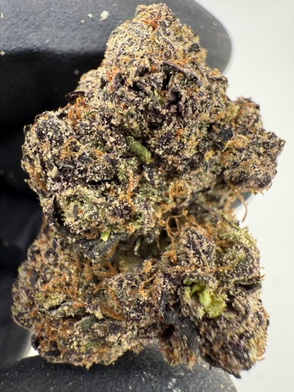Pink Lemonade