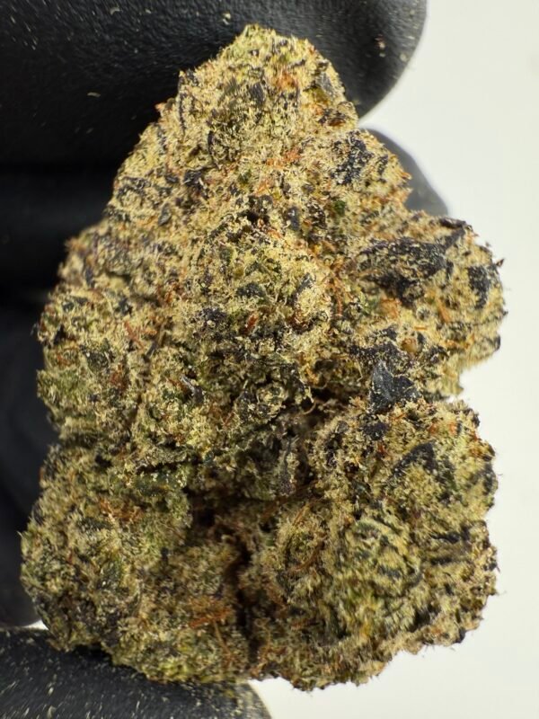 Swisha Sweetz