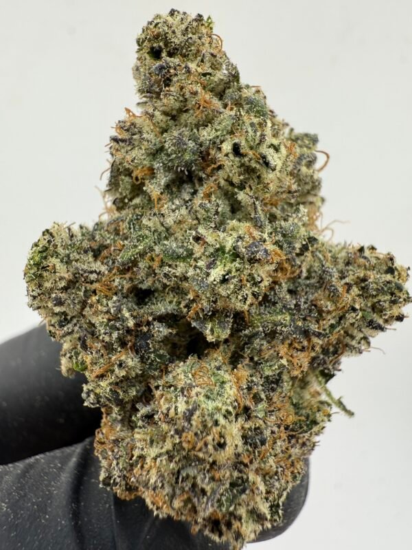 Tropical Cookie
