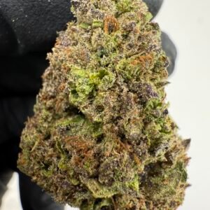 Purple Cheesecake