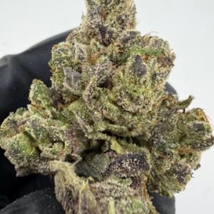 Cinnamon Toast Crunch