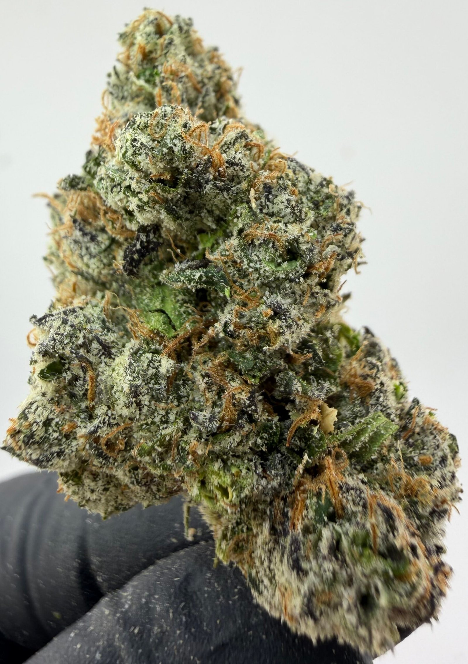 Bubbalicious