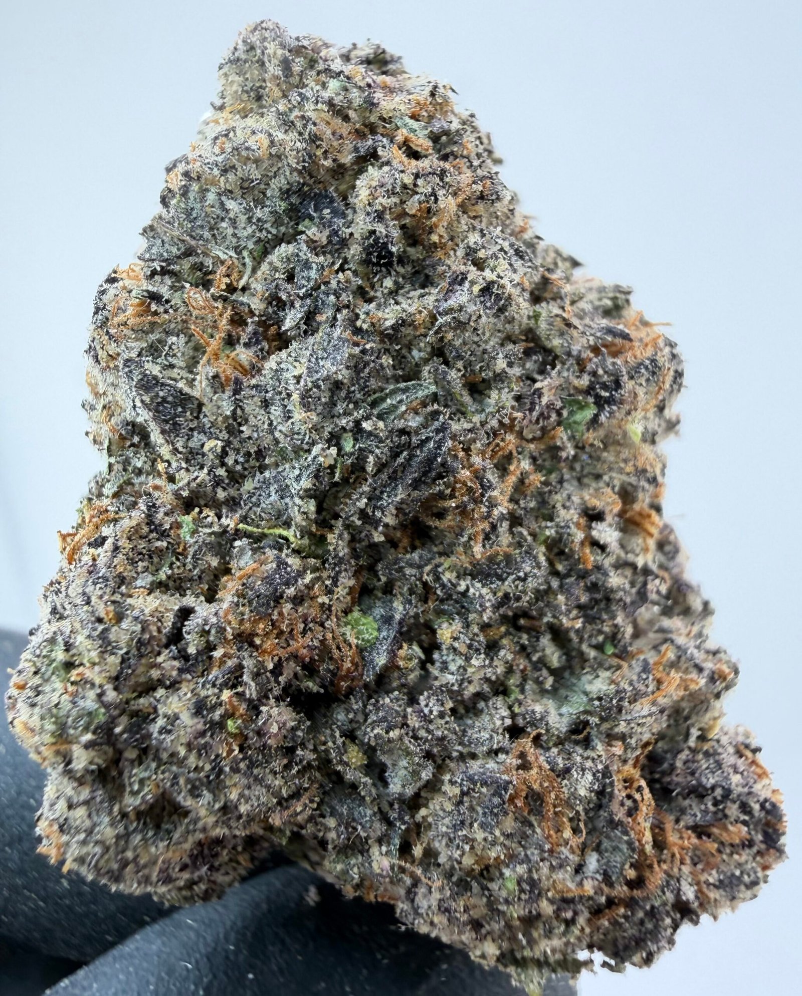 Indigo Frosty