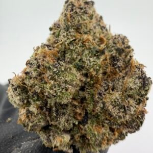 Cali Dragon
