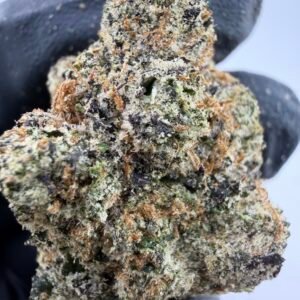 Candy Sorbet
