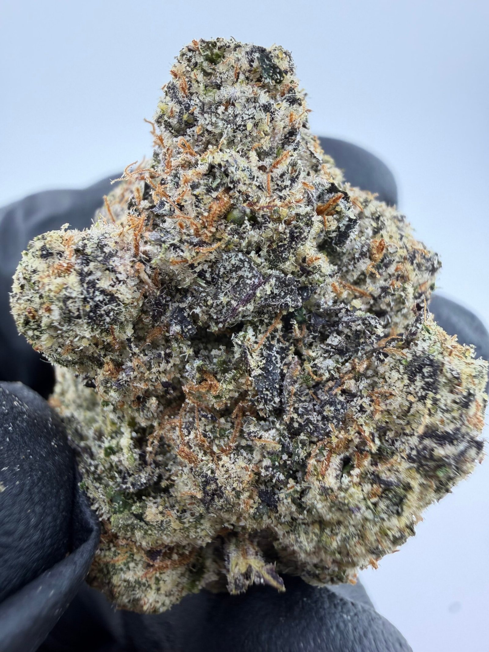 White Cherry