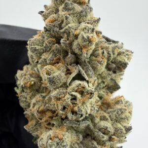 White Truffle