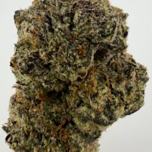 Bubble Gum