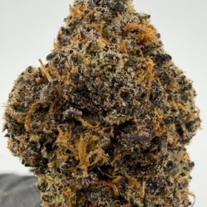Scoop of Gelato