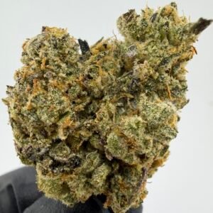 Tropical Cherry