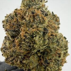 SkyWalker