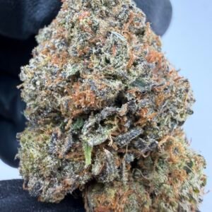Sour Worms