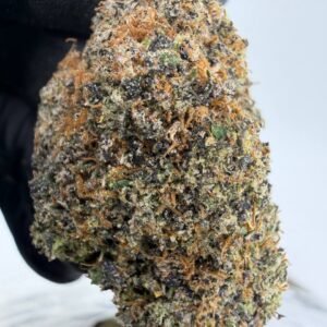 Candy XXX