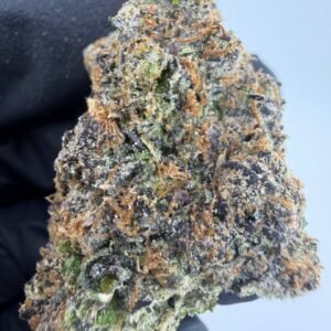 Zookies