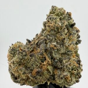 Apple Fritter