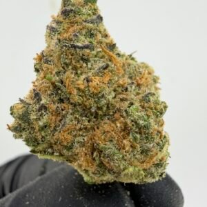 Blue Cheese