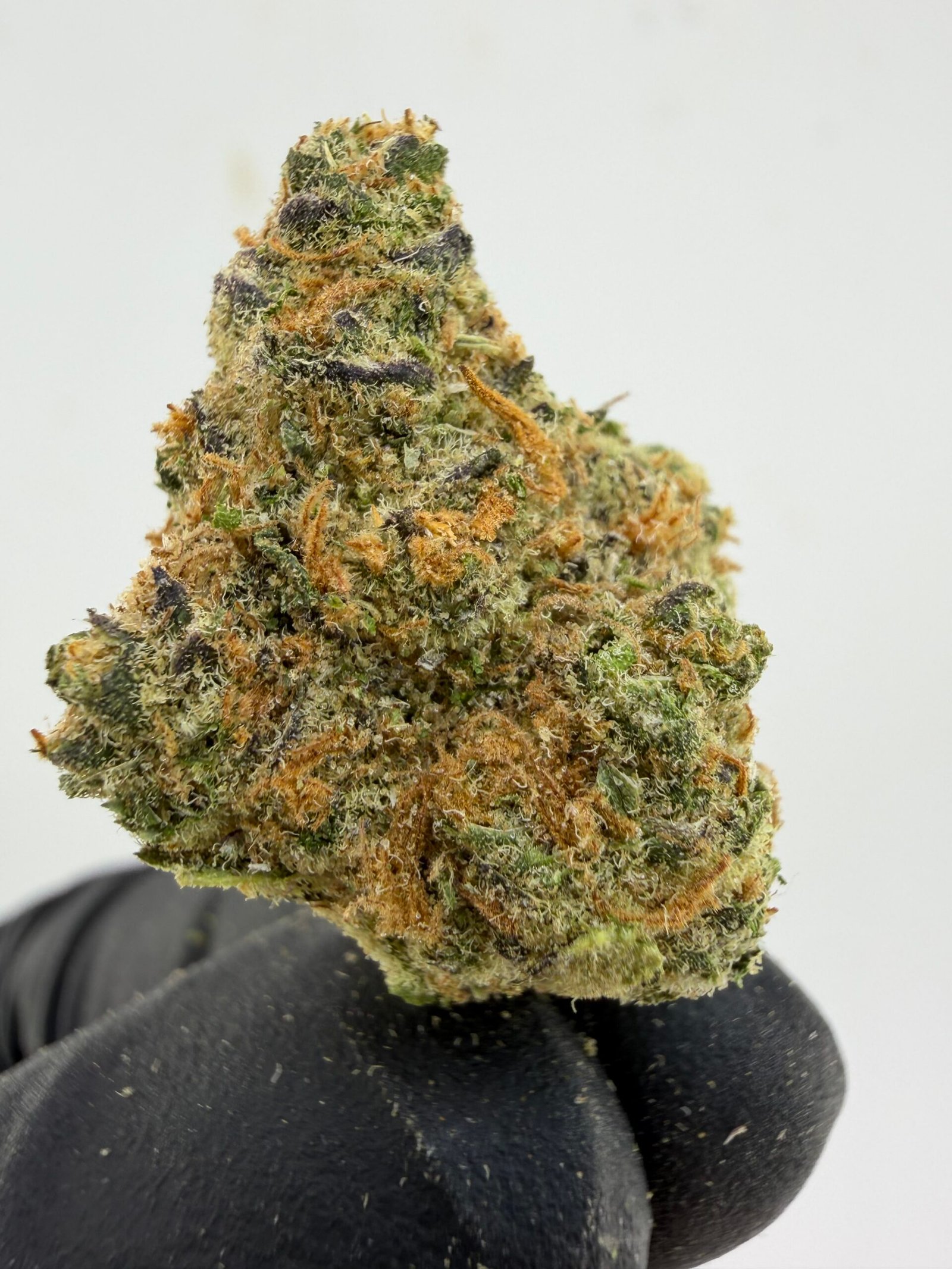 Blue Cheese