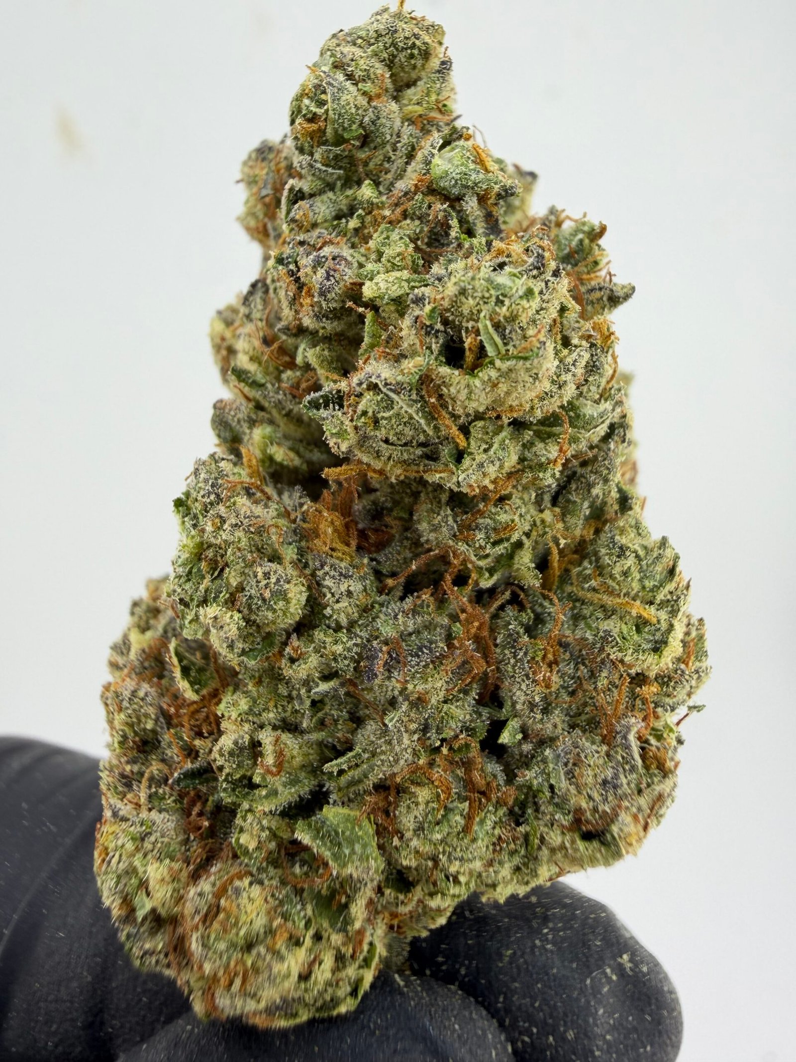 Blue Flamez