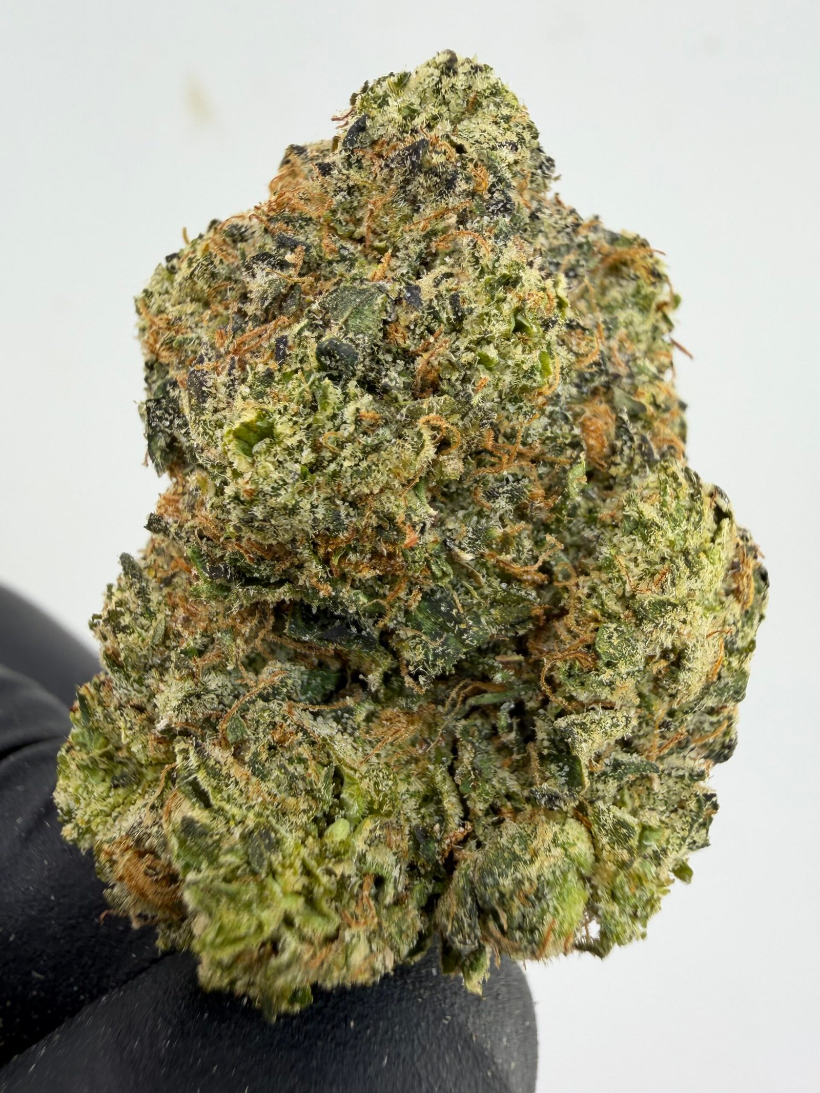 Jolly Rancher