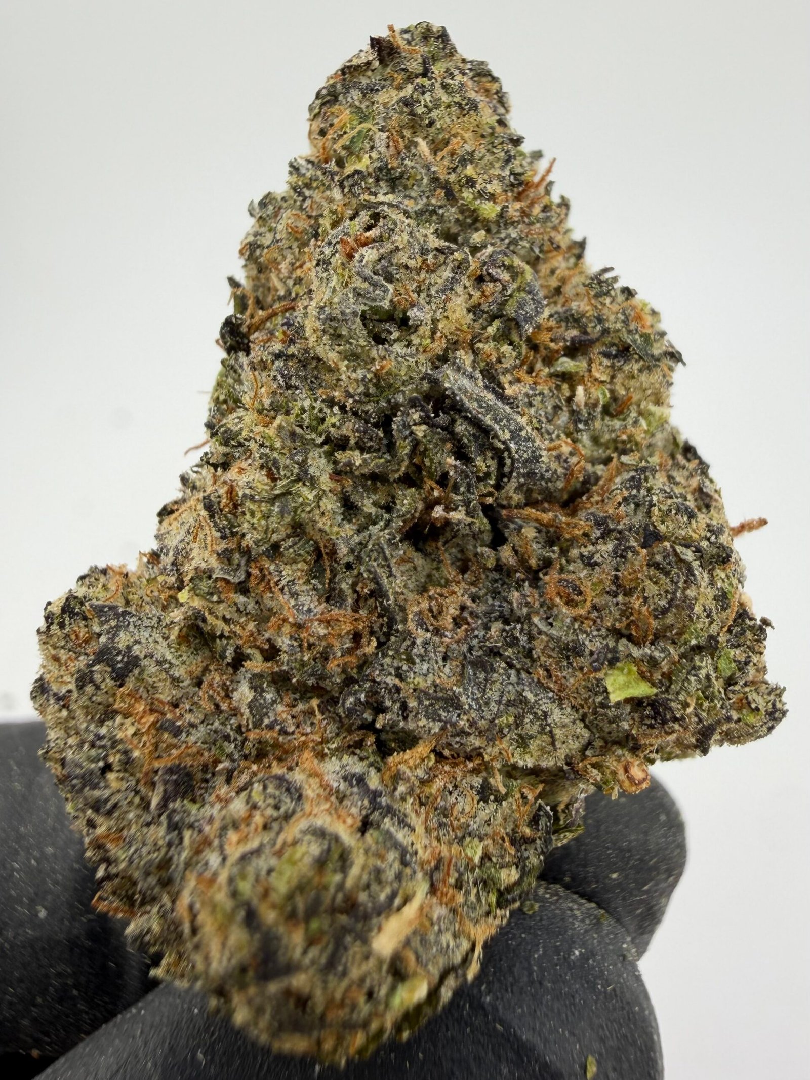 Slurricane